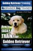 Golden_retriever_training