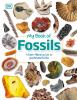 My_book_of_fossils
