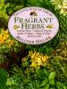 Fragrant_herbs