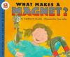 What_makes_a_magnet___