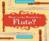 What_in_the_world_is_a_flute_