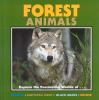 Forest_animals___explore_the_fascinating_worlds_of