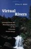 Virtual_rivers
