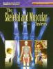 The_skeletal_and_muscular_systems