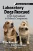 Laboratory_dogs_rescued