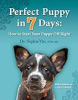 Perfect_puppy_in_7_days