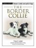 The_Border_collie