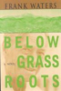 Below_grass_roots