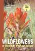 Wildflowers_of_the_Rocky_Mountain_region