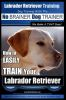 Labrador_retriever_training