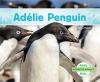 Adelie_penguin