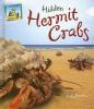 Hidden_hermit_crabs