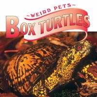 Box_turtles