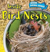 Inside_bird_nests