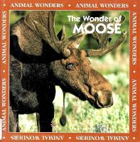 The_wonder_of_moose