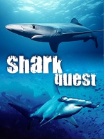 Shark__Quest