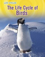 The_life_cycle_of_birds