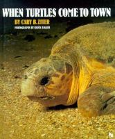 When_turtles_come_to_town