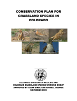 Conservation_plan_for_grassland_species_in_Colorado