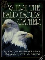 Where_the_bald_eagles_gather