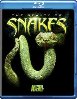The_beauty_of_snakes