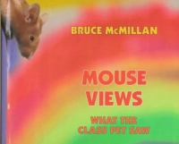 Mouse_views