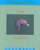 Calf_to_dolphin