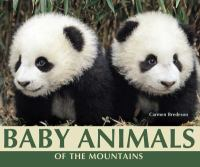 Baby_animals_of_the_mountains