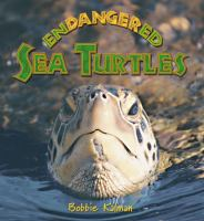 Endangered_sea_turtles