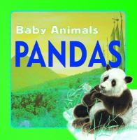 Baby_Animals_Panda