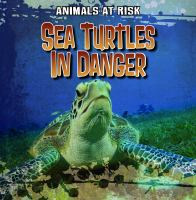 Sea_Turtles_in_Danger
