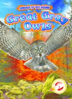 Great_gray_owls