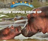 How_hippos_grow_up