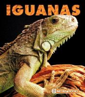 Iguanas