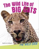 The_wild_life_of_big_cats