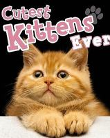 The_cutest_kittens_ever_