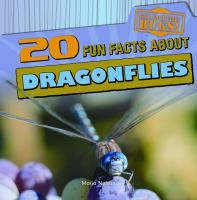 20_fun_facts_about_dragonflies