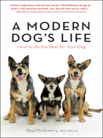 A_Modern_Dog_s_Life