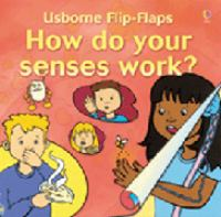 How_do_your_senses_work_