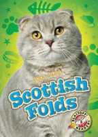 Scottish_fold