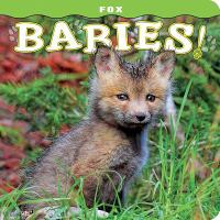 Fox_babies_