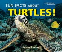 Fun_facts_about_turtles_