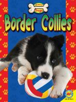 Border_collies
