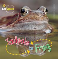 Tadpole_to_frog