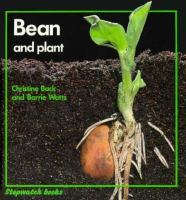 Bean_and_plant