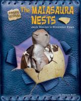 The_maiasaura_nests