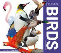 Essential_birds