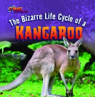 The_bizarre_life_cycle_of_a_kangaroo