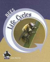 Bees_Life_Cycles