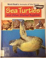 Sea_turtles_and_other_shelled_reptiles